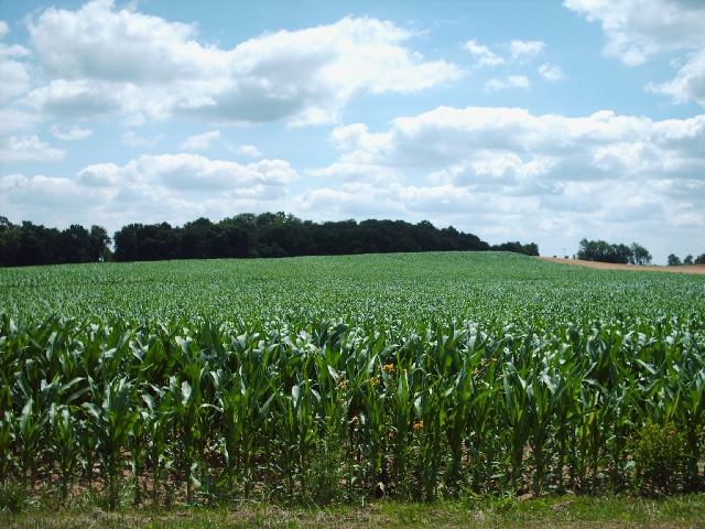 Click For Enlarged Photos and Maps