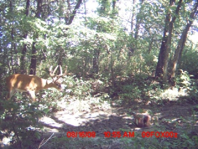 Click For Enlarged Photos and Maps