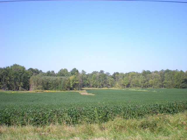 Click For Enlarged Photos and Maps