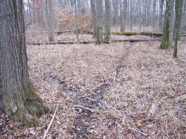 Click For Enlarged Photos and Maps