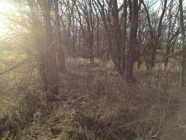 Click For Enlarged Photos and Maps