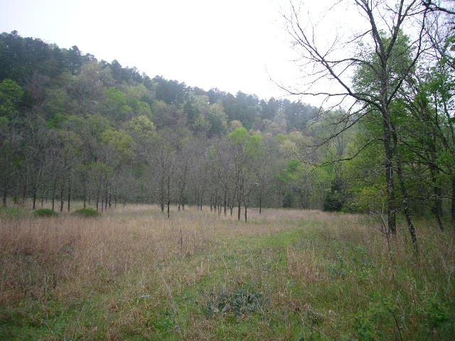 Click For Enlarged Photos and Maps