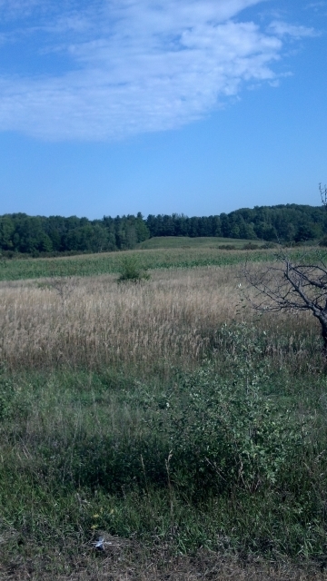 Click For Enlarged Photos and Maps