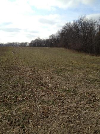 Click For Enlarged Photos and Maps