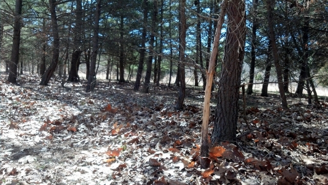 Click For Enlarged Photos and Maps