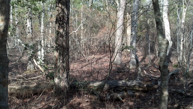 Click For Enlarged Photos and Maps