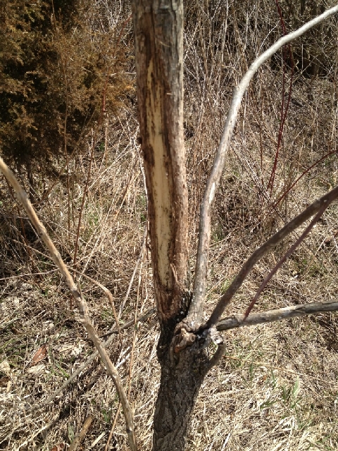 Click For Enlarged Photos and Maps