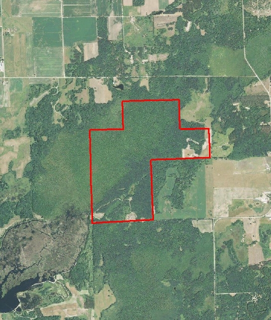 Our Newest Hunting Properties Available for Lease Base Camp Leasing