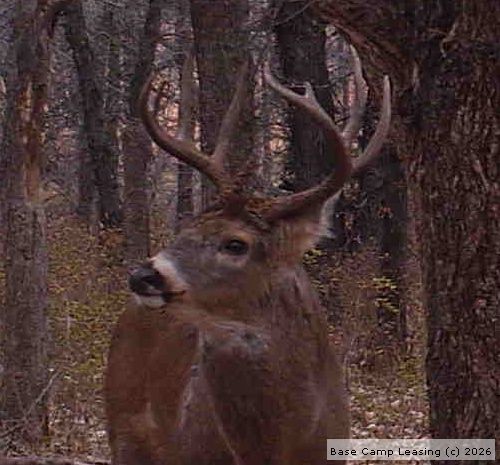 Map or photo for Jackson County, Kansas hunting lease property.