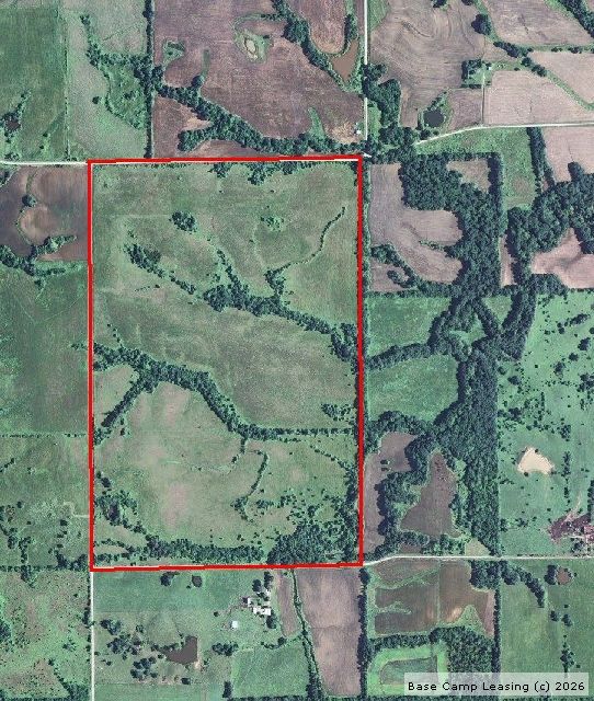 Good picture of property showing the three sections of trees / Corn to the north & south and beans to the east just off property.