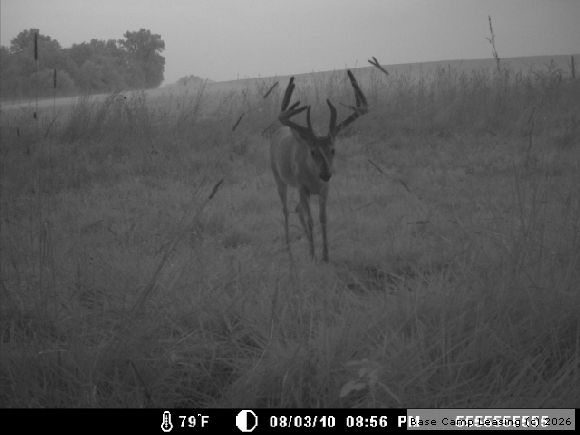 Map or photo for Licking County, Ohio hunting lease property.
