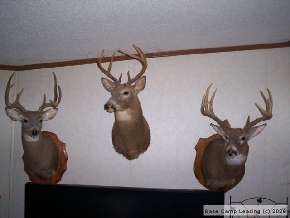 Map or photo for Vernon County, Missouri hunting lease property.