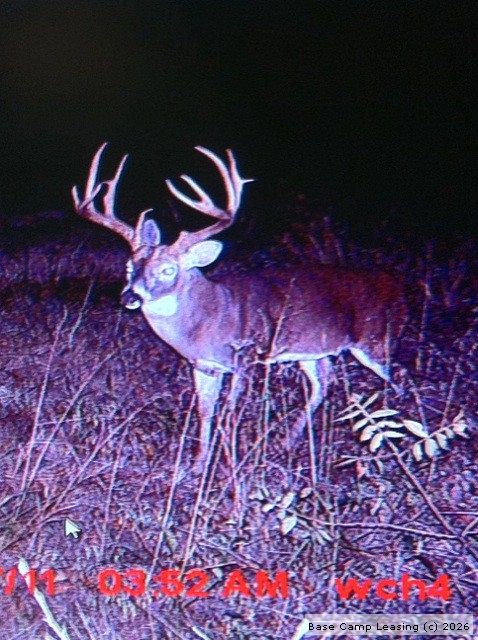160 class caught on camera in 2011 / STILL ALIVE