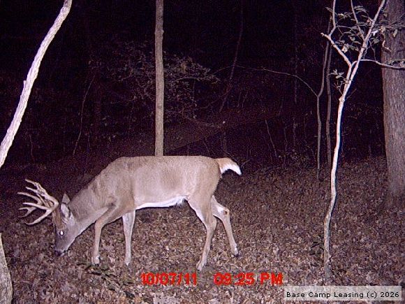 Map or photo for Fayette County, Illinois hunting lease property.