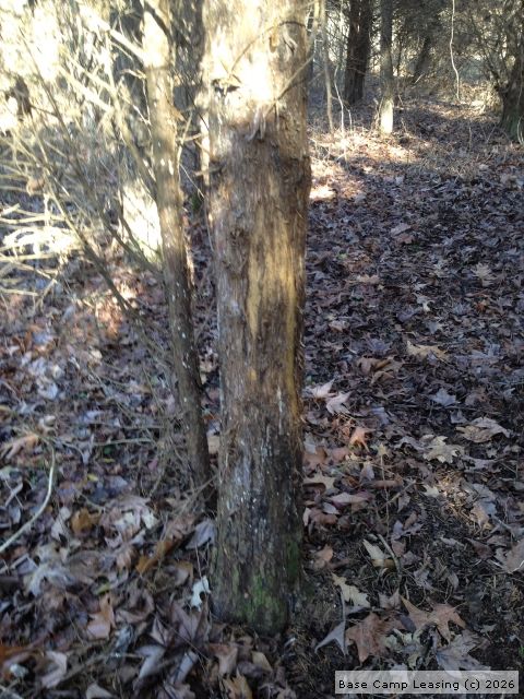 Map or photo for Massac County, Illinois hunting lease property.