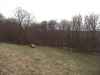 Map or photo for Bracken County, Kentucky hunting lease property.
