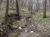 Map or photo for Bracken County, Kentucky hunting lease property.