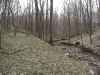 Map or photo for Bracken County, Kentucky hunting lease property.