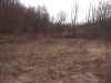Map or photo for Bracken County, Kentucky hunting lease property.