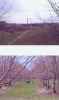 Map or photo for Leelanau County, Michigan hunting lease property.