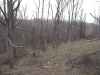 Map or photo for Mason County, Kentucky hunting lease property.