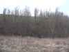 Map or photo for Mason County, Kentucky hunting lease property.