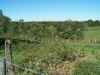 Map or photo for Carroll County, Kentucky hunting lease property.