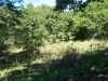 Map or photo for Carroll County, Kentucky hunting lease property.
