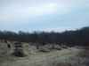 Map or photo for Carroll County, Ohio hunting lease property.