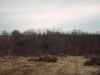 Map or photo for Carroll County, Ohio hunting lease property.