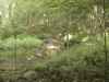 Map or photo for Carroll County, Indiana hunting lease property.
