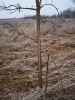 Map or photo for Linn County, Missouri hunting lease property.