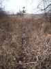 Map or photo for Linn County, Missouri hunting lease property.