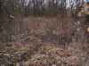 Map or photo for Linn County, Missouri hunting lease property.