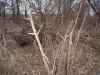Map or photo for Linn County, Missouri hunting lease property.