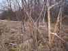 Map or photo for Linn County, Missouri hunting lease property.