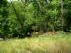 Map or photo for Camden County, Missouri hunting lease property.