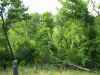Map or photo for Camden County, Missouri hunting lease property.