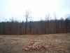 Map or photo for Camden County, Missouri hunting lease property.