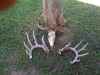 Map or photo for Camden County, Missouri hunting lease property.