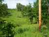 Map or photo for Camden County, Missouri hunting lease property.