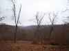 Map or photo for Camden County, Missouri hunting lease property.
