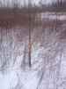 Map or photo for Vermilion County, Illinois hunting lease property.