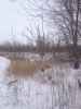 Map or photo for Vermilion County, Illinois hunting lease property.