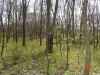 Map or photo for Marion County, Illinois hunting lease property.