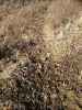 Map or photo for Fayette County, Illinois hunting lease property.