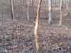 Map or photo for Fayette County, Illinois hunting lease property.