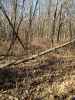 Map or photo for Fayette County, Illinois hunting lease property.