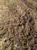 Map or photo for Fayette County, Illinois hunting lease property.
