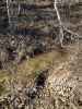 Map or photo for Fayette County, Illinois hunting lease property.